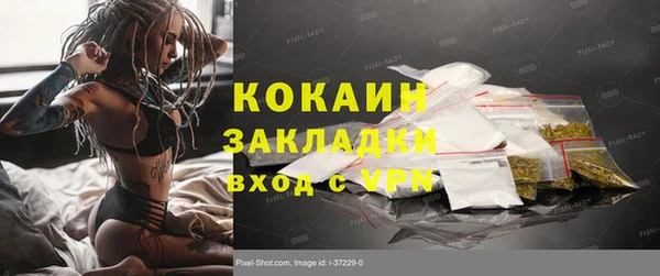 сатива Карталы