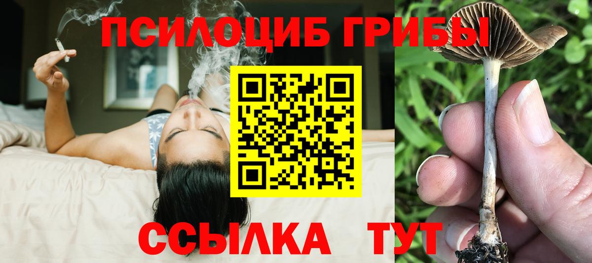 Псилоцибиновые грибы MAGIC MUSHROOMS  Галлюциногенные грибы Psilocybe  Лосино-Петровский  Вход с VPN 